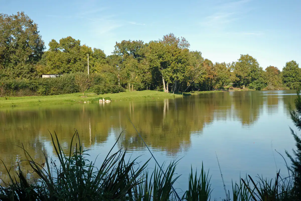Location Péniche  pour 2  personnes + Pêche sur  létang de 9ha 
