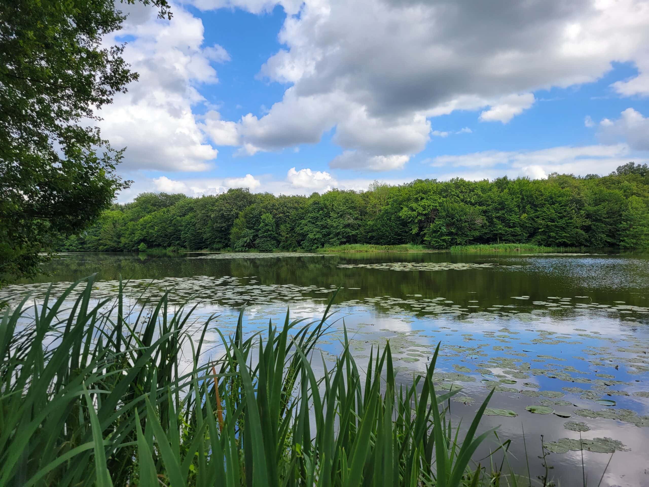 Location Péniche  pour 2  personnes + Pêche sur  létang de 9ha 
