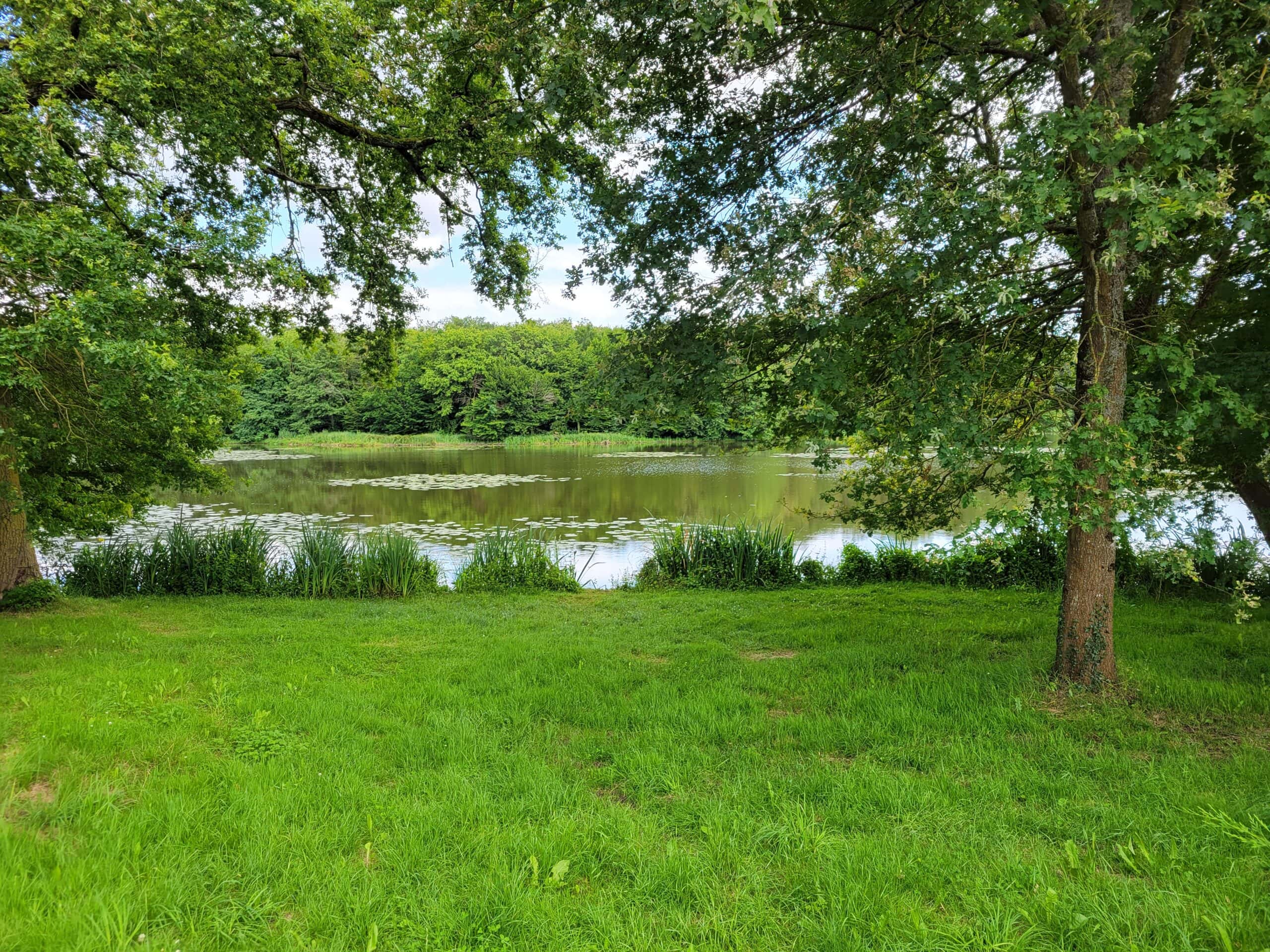 Roulotte au fond du jardin  et son étang de 9 hectares avec de gros spécimens 
