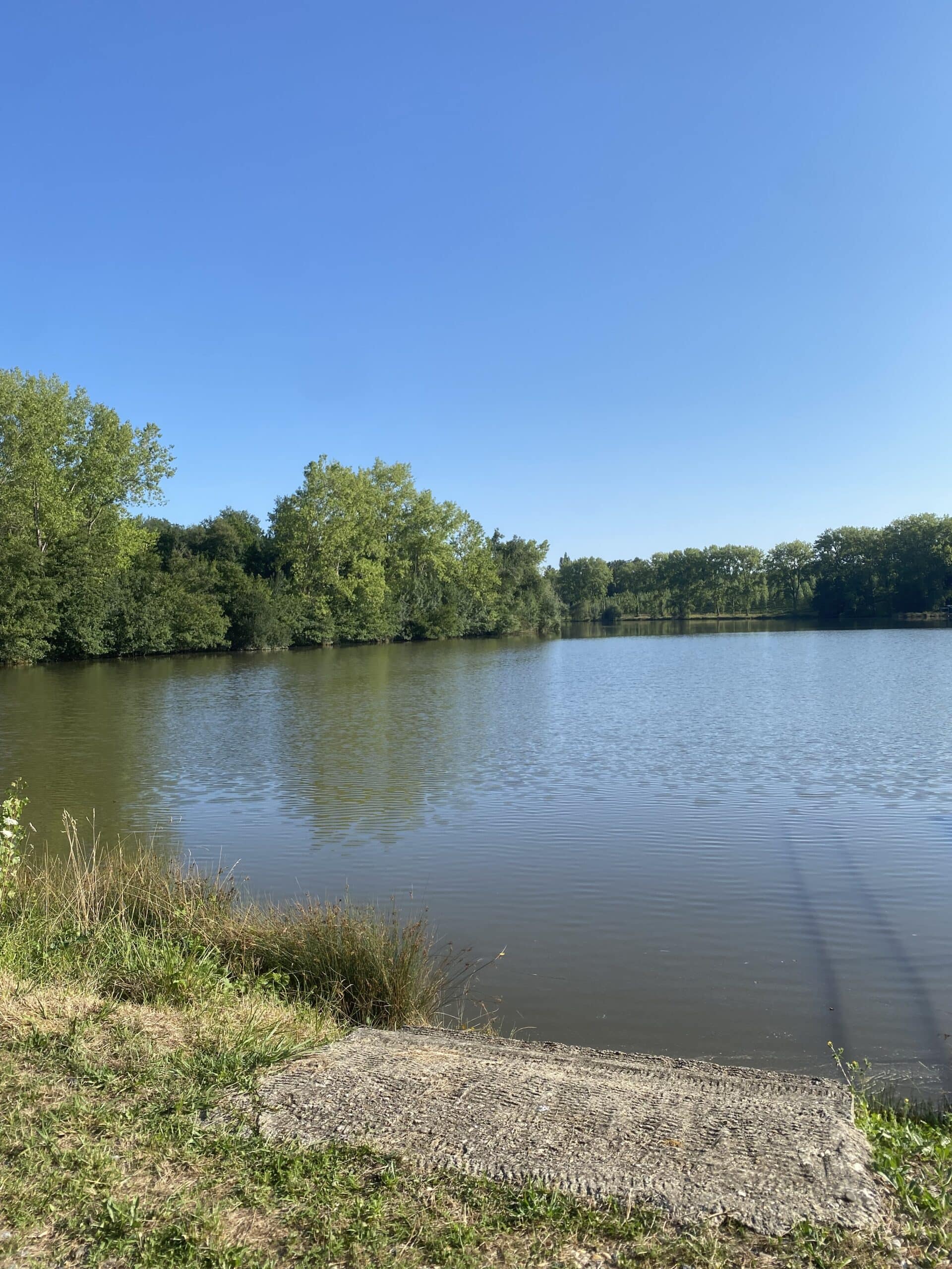 Étang de 8 hectares à louer dans le département du Gers 