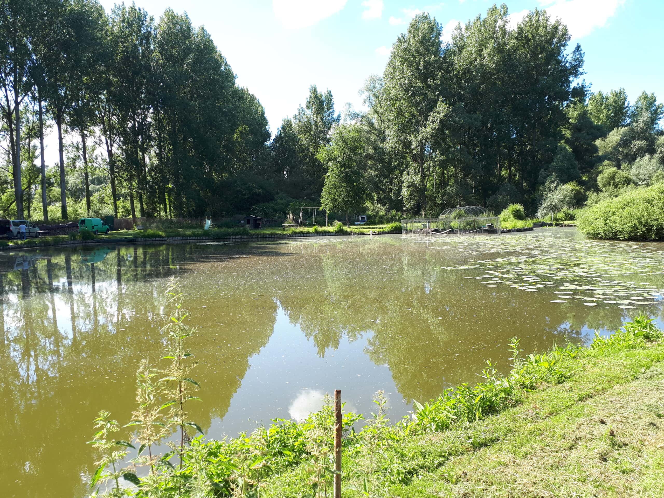 Profitez d’un étang paisible et naturel près de Lille 