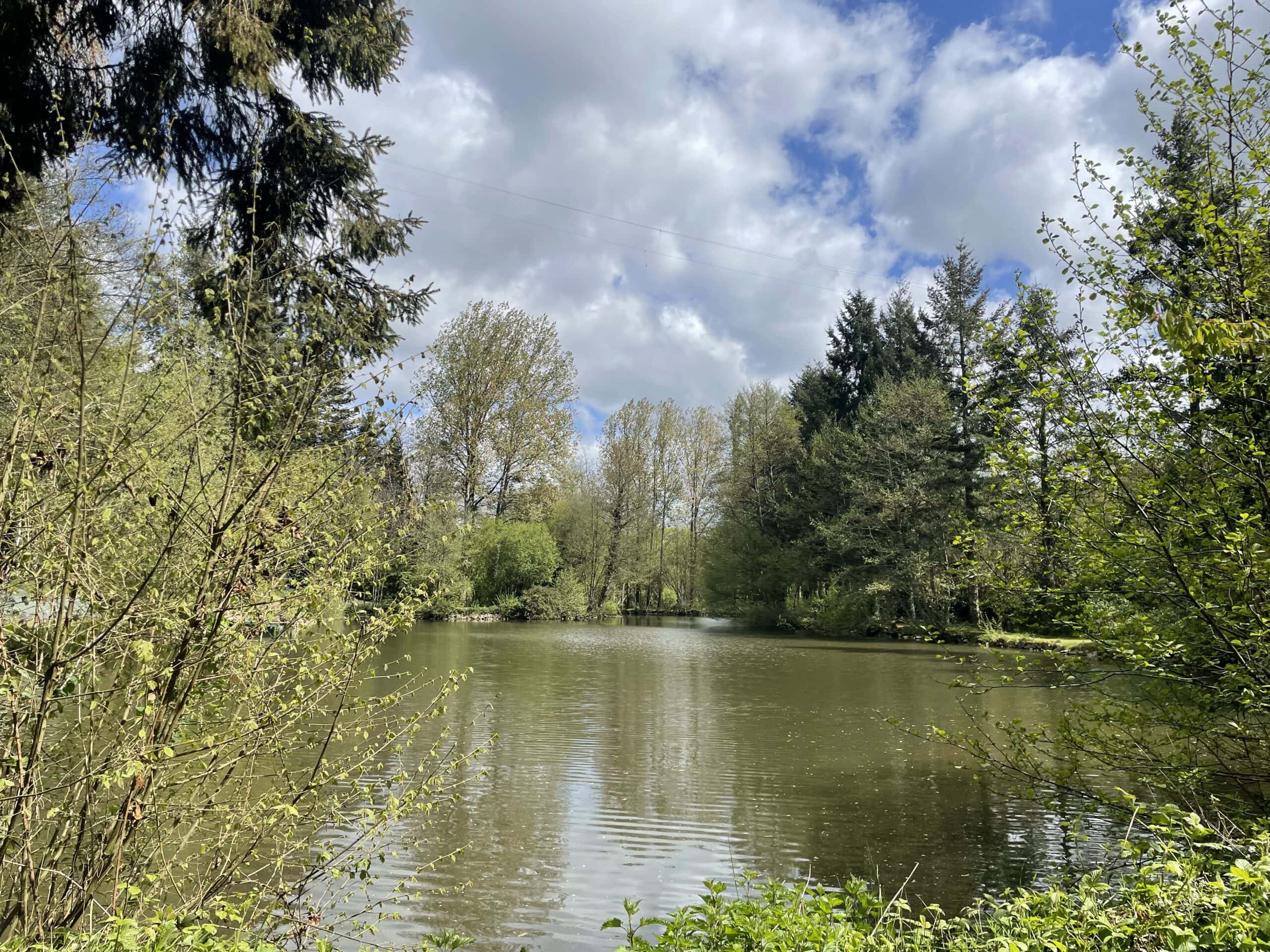 Étang privé en Mayenne avec terrain de pétanque 