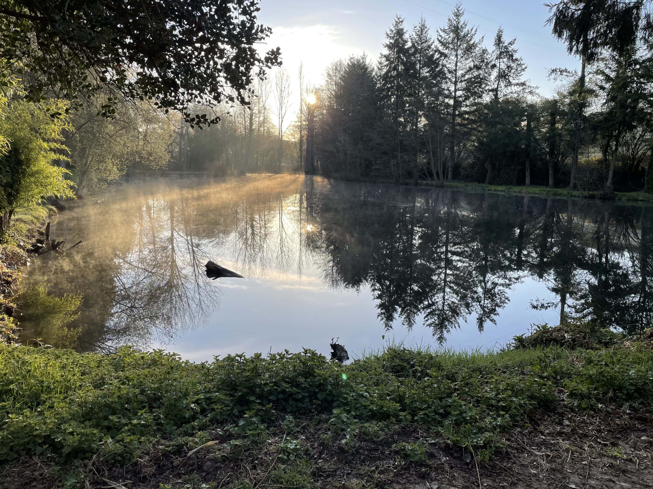Étang privé en Mayenne avec terrain de pétanque 