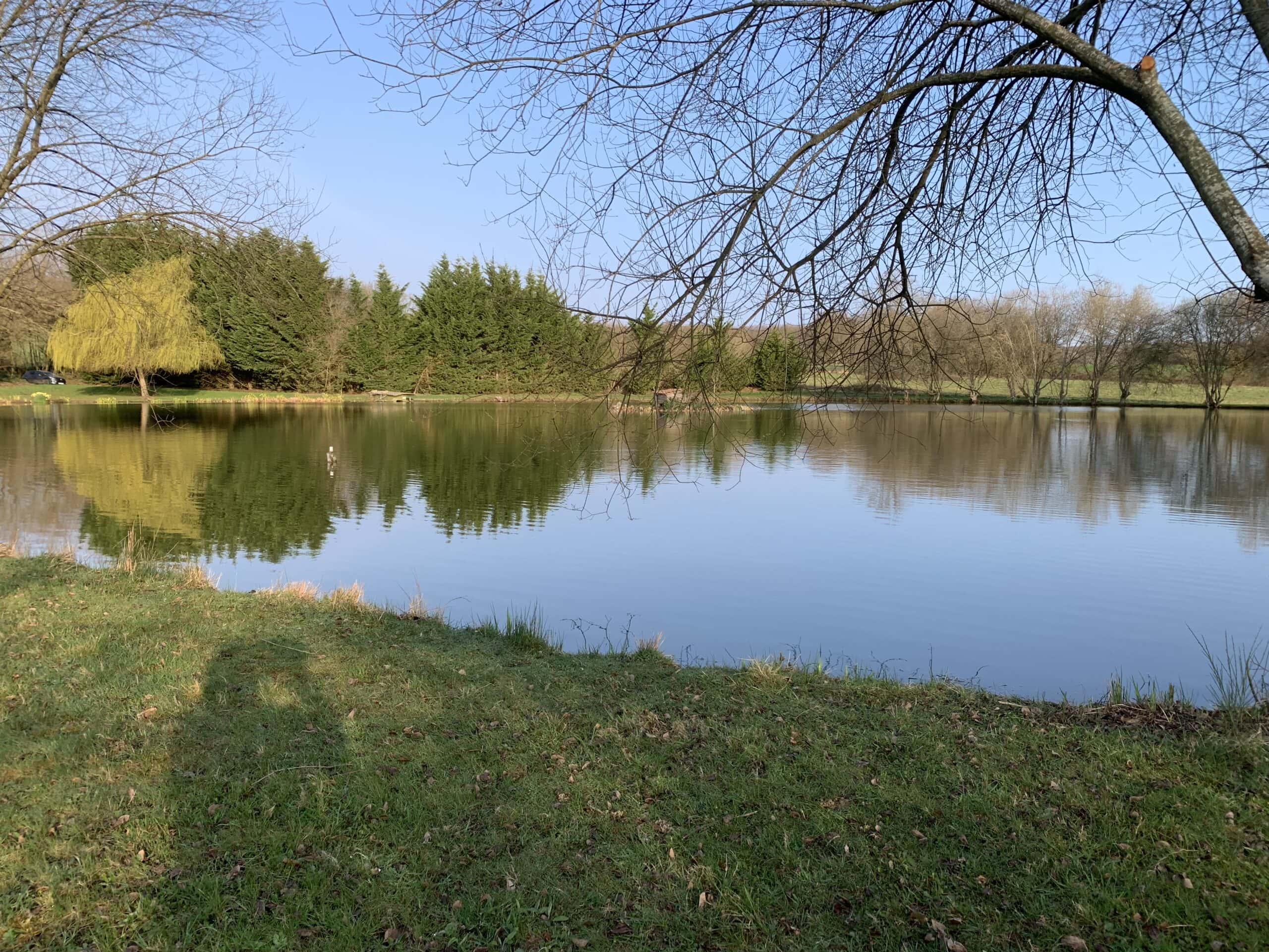 Etang de 1ha au coeur de la nature 