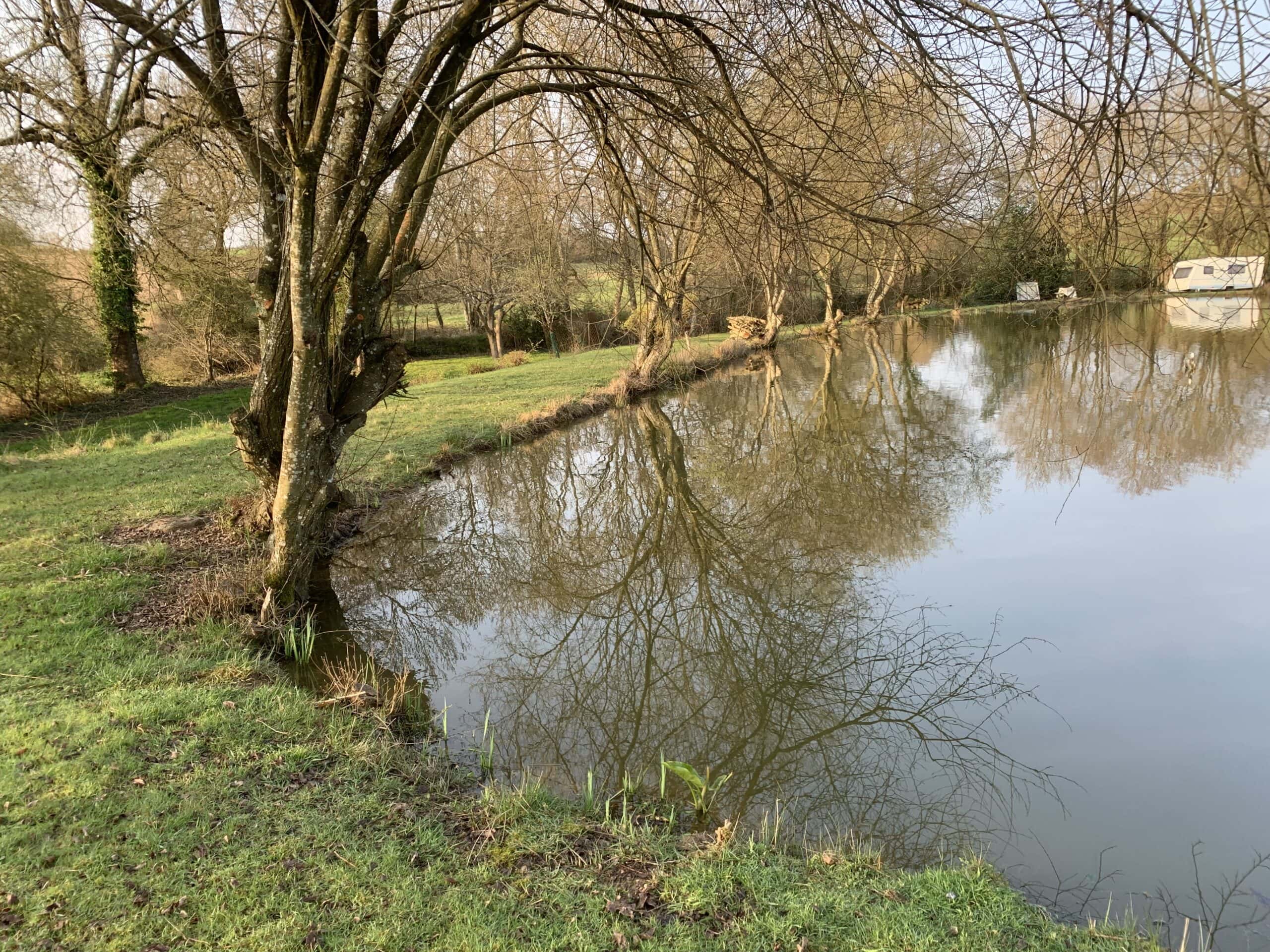 Etang de 1ha au coeur de la nature 
