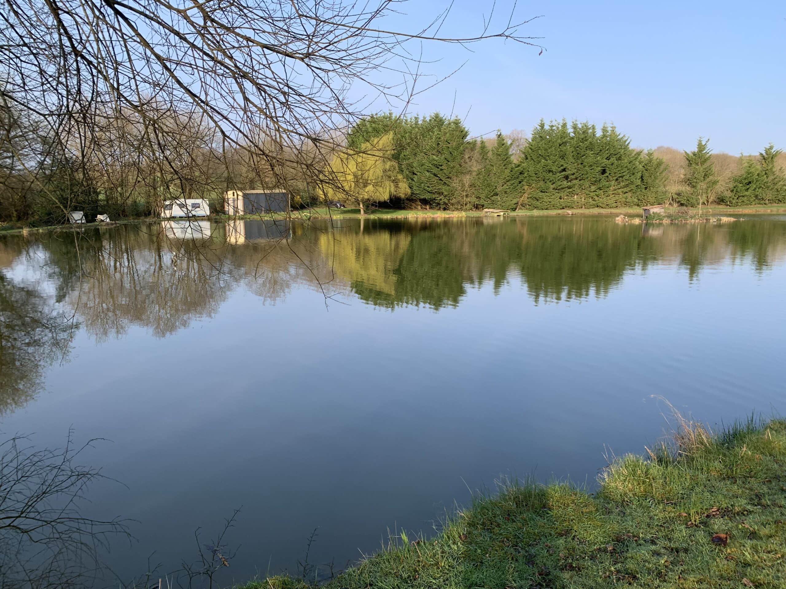 Etang de 1ha au coeur de la nature 