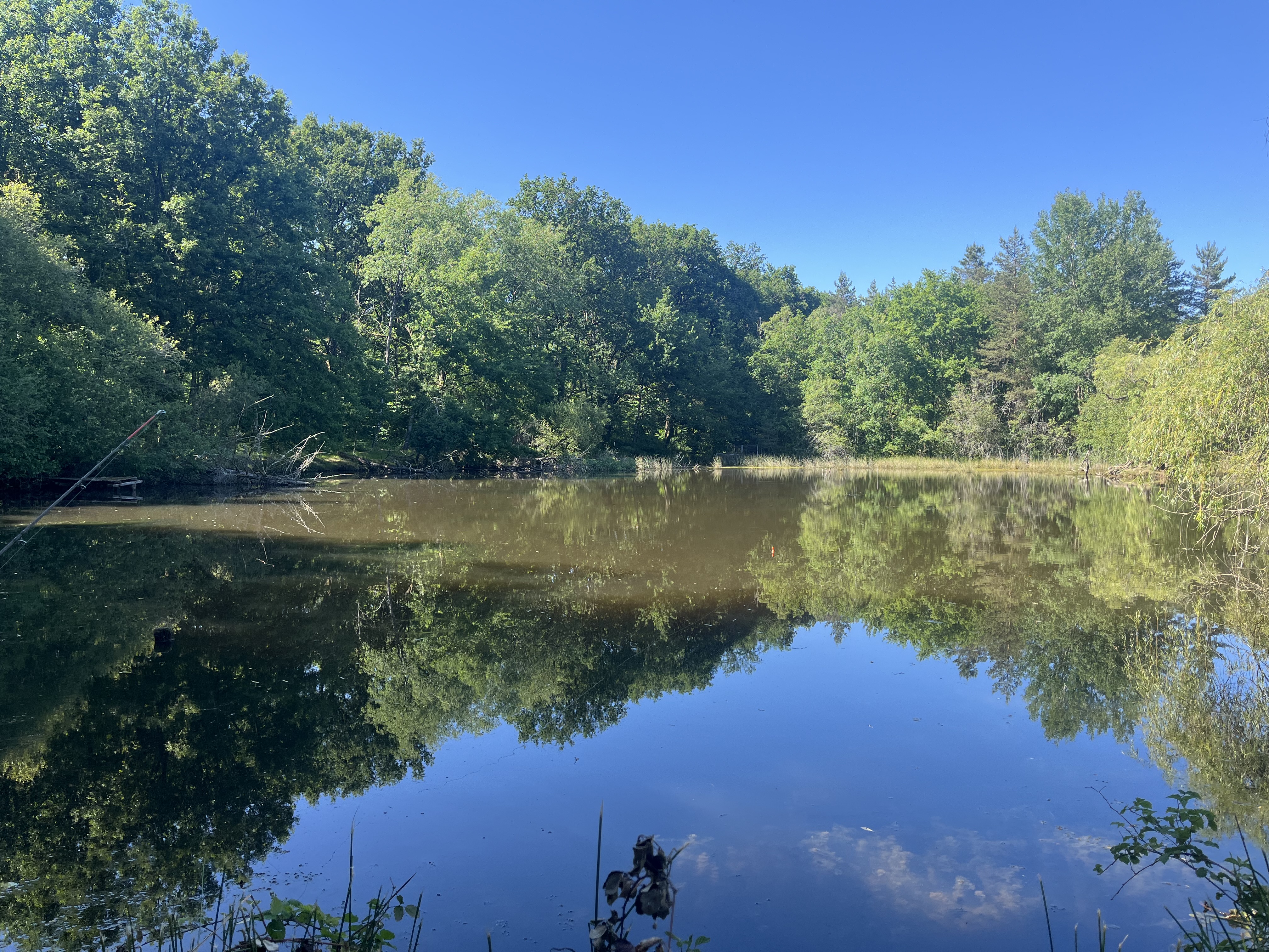 Etang dans 42 hectares de forêt privé