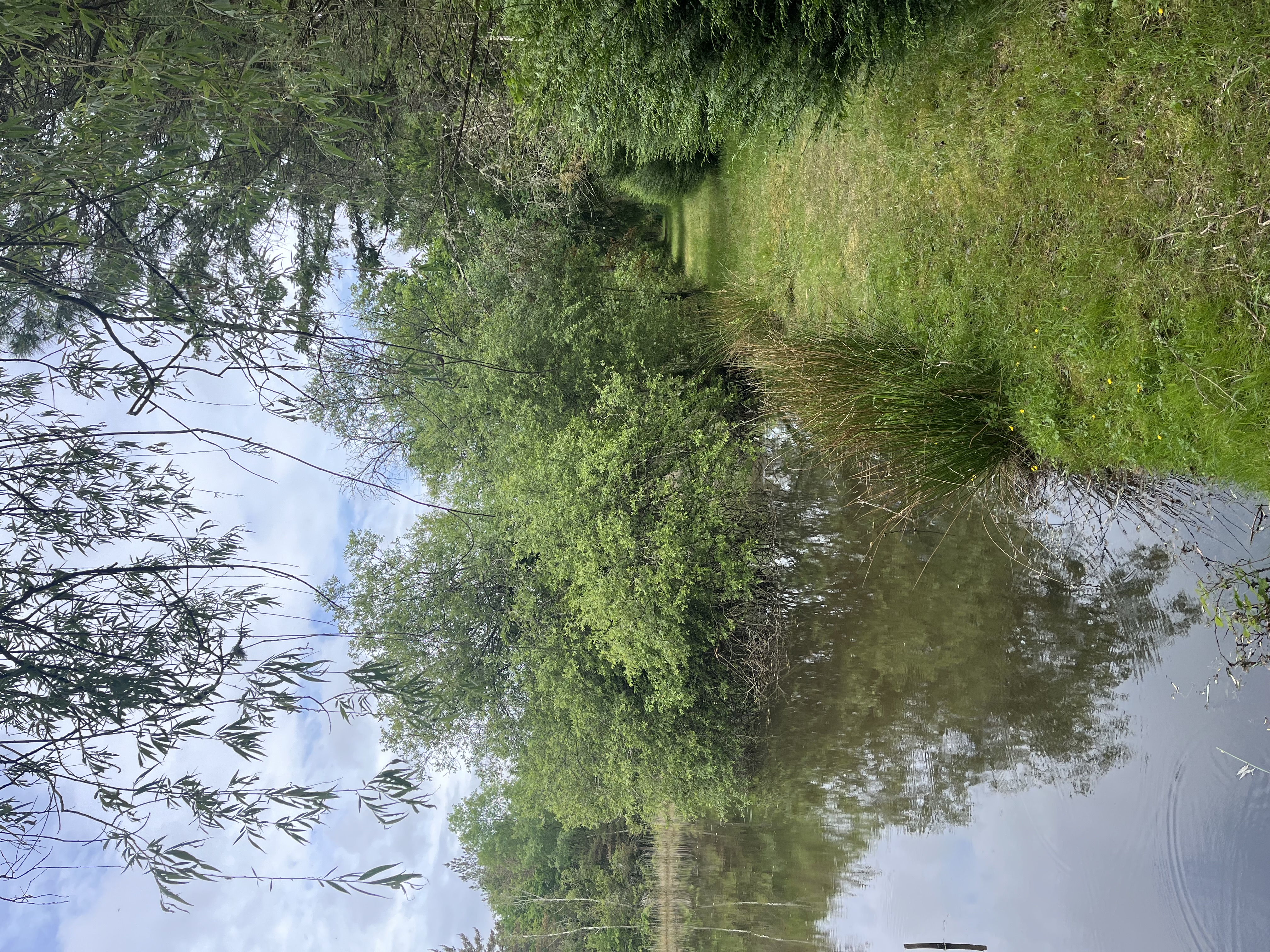 Etang dans 42 hectares de forêt privé