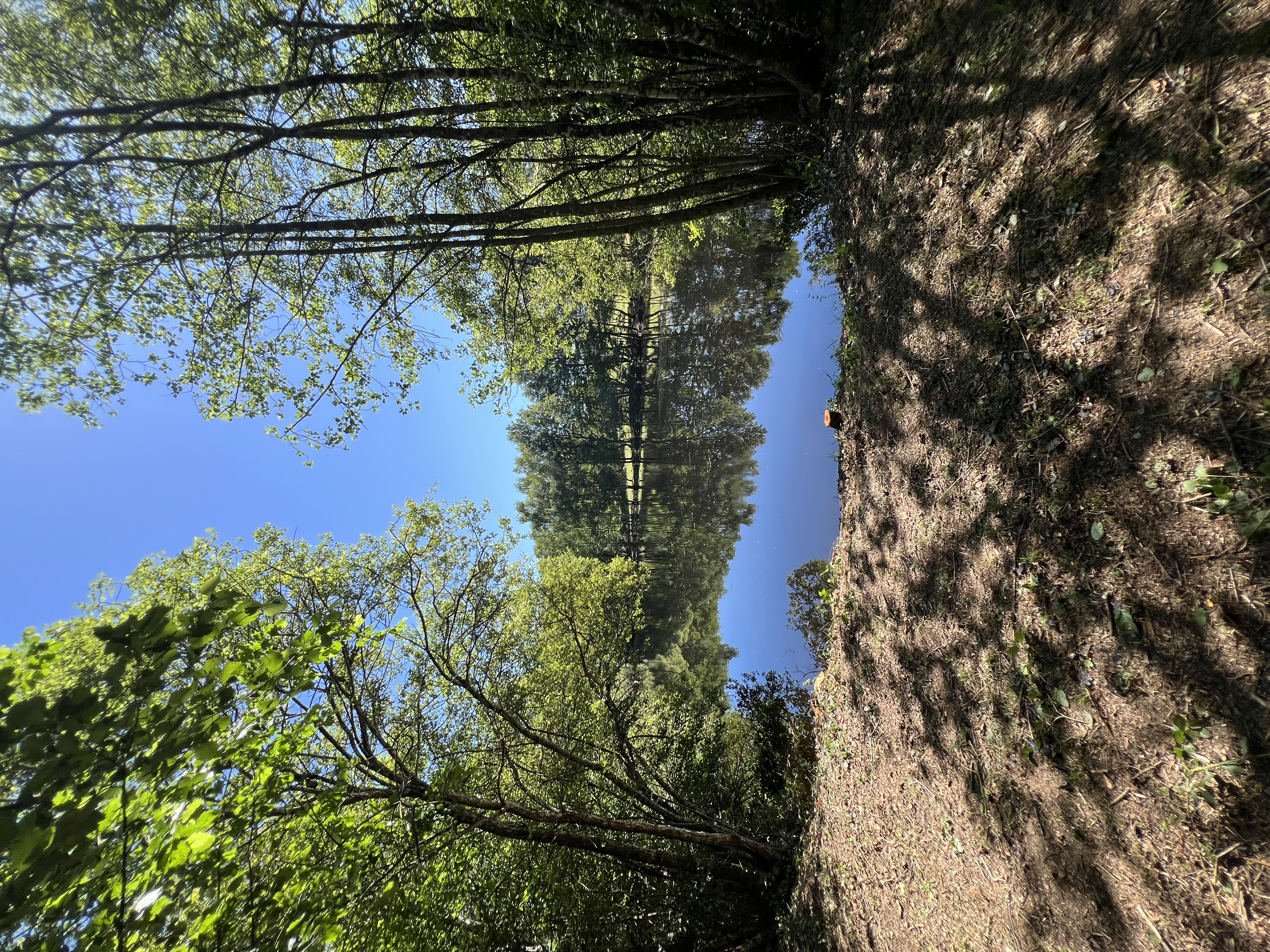 Étang niché au coeur de la campagne limousine