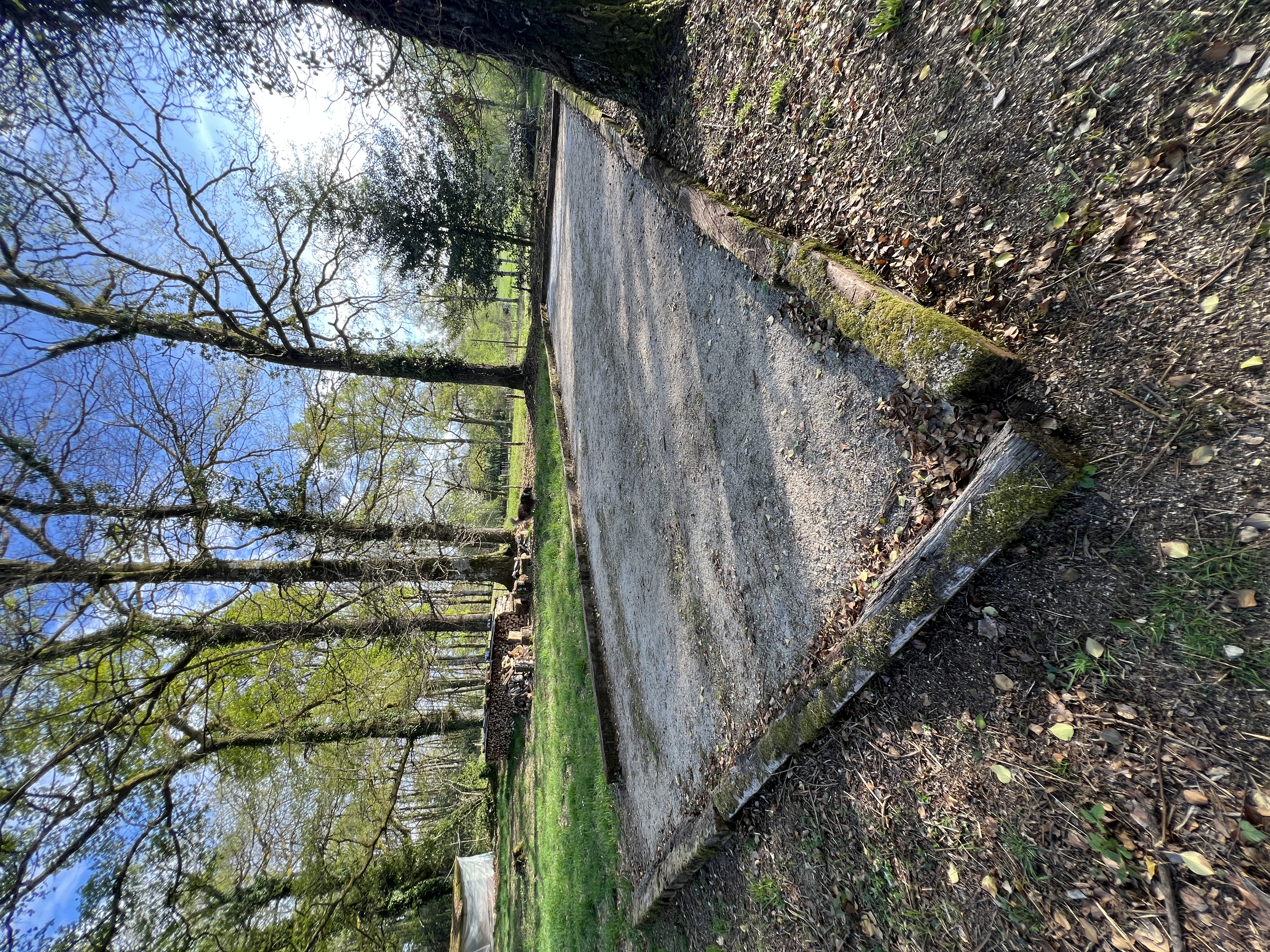 Étang niché au coeur de la campagne limousine