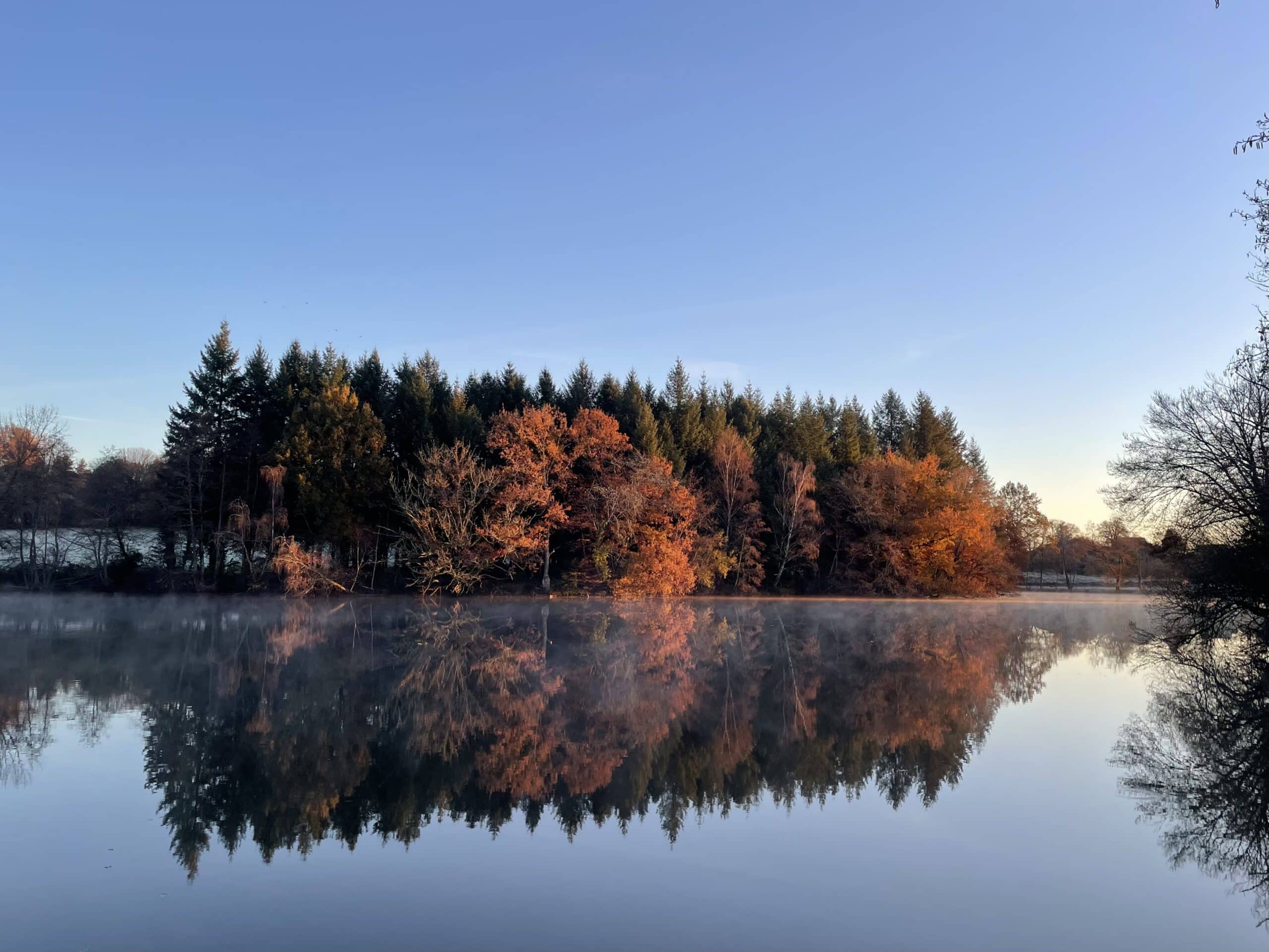 Etang du XVe siècle magnifique et préserver de 7 hectares. 