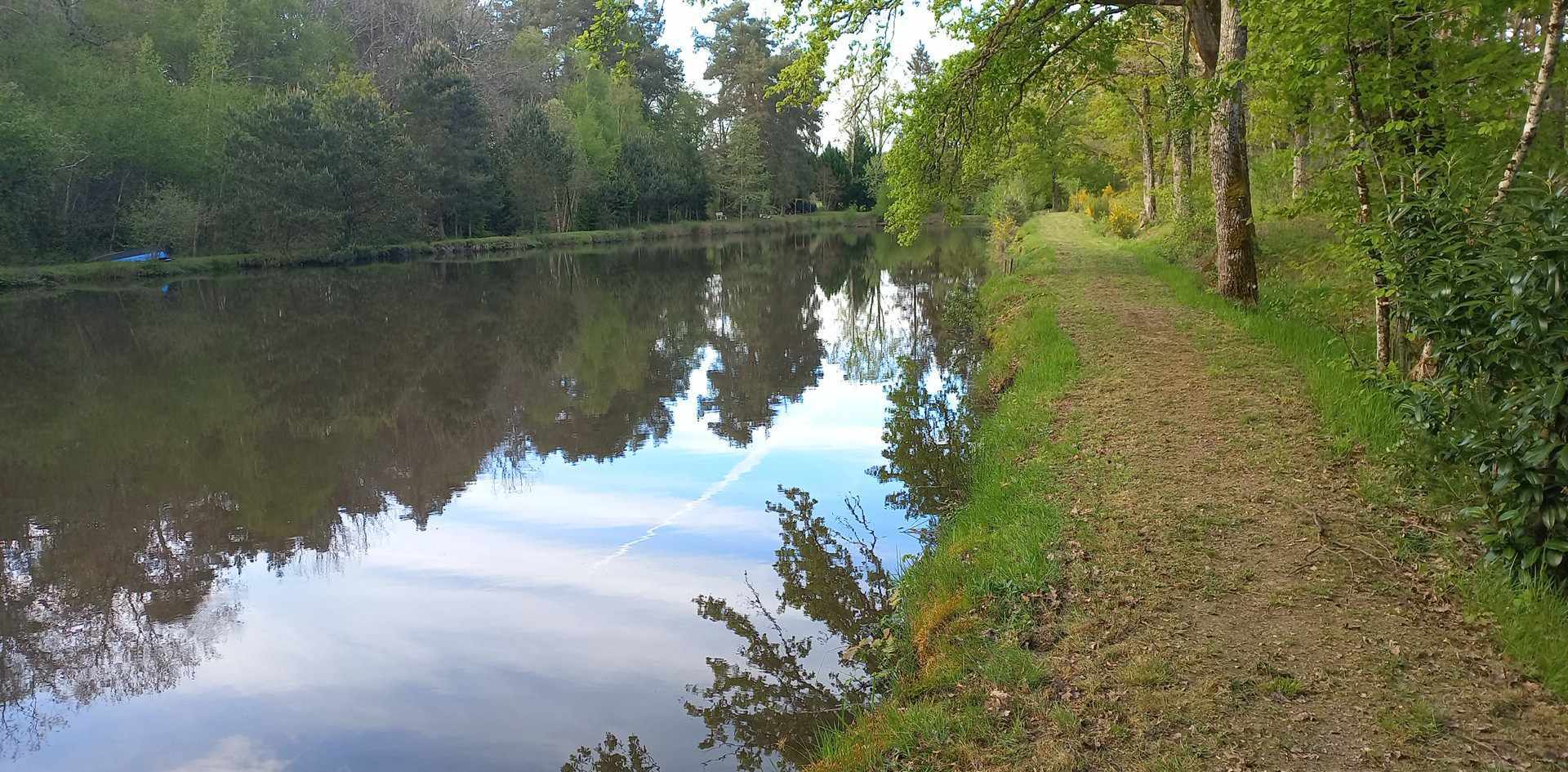 Terrain de loisir avec étang au calme pleine foret 