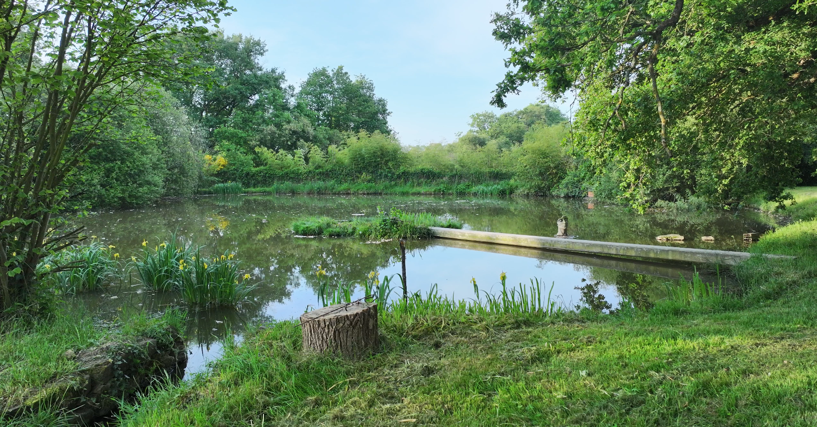 Etang avec son chalet en Nouvelle-Aquitaine