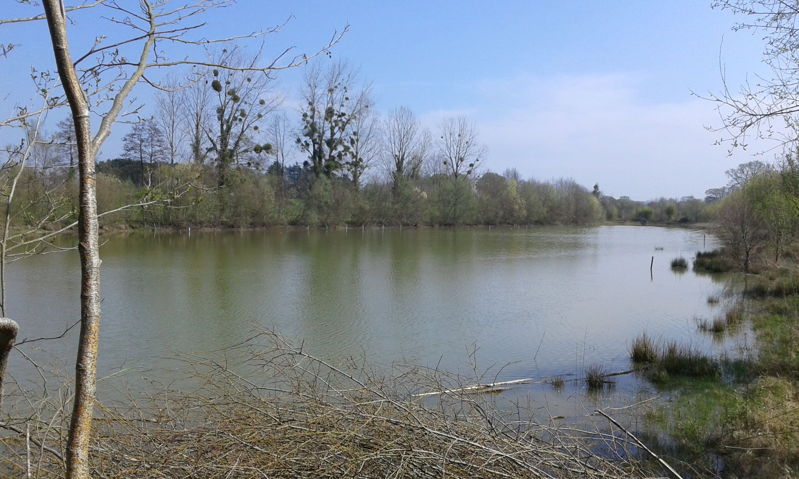 Étang de 2 hectares pour la pêche ou un moment de détente 