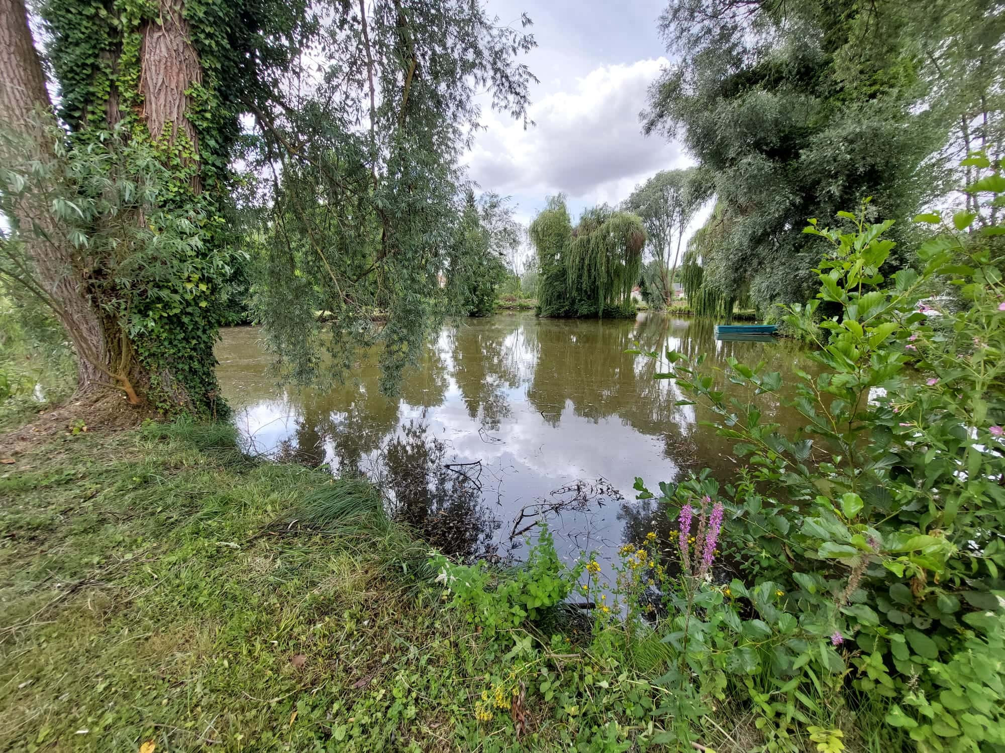 Terrain de loisir avec son étang de pêche 