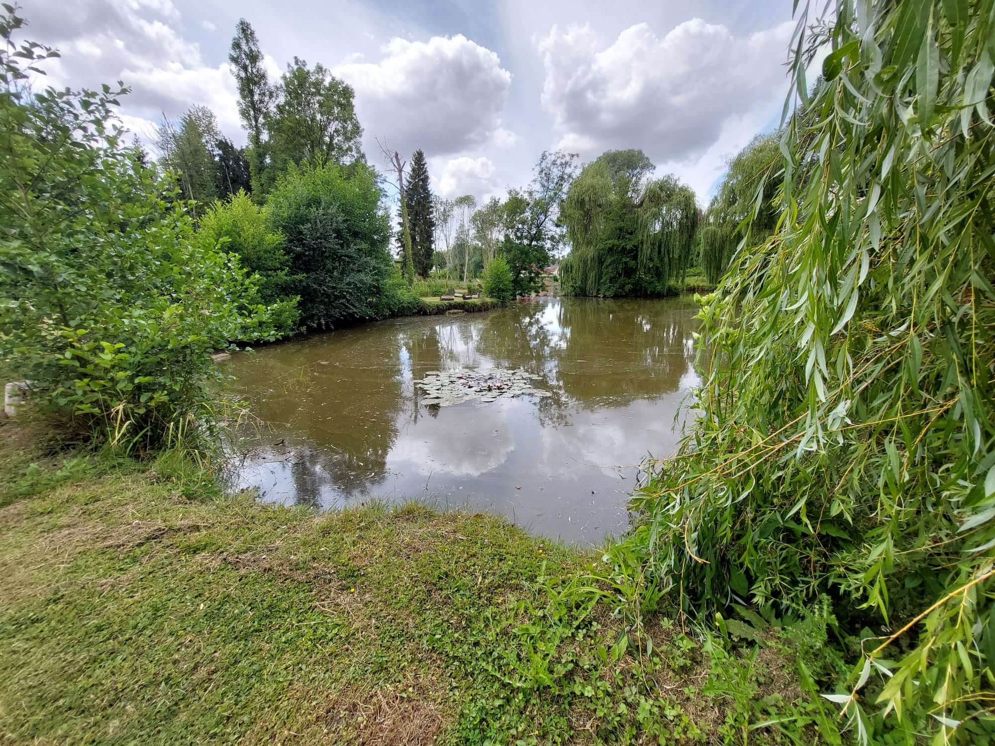 Terrain de loisir avec son étang de pêche 