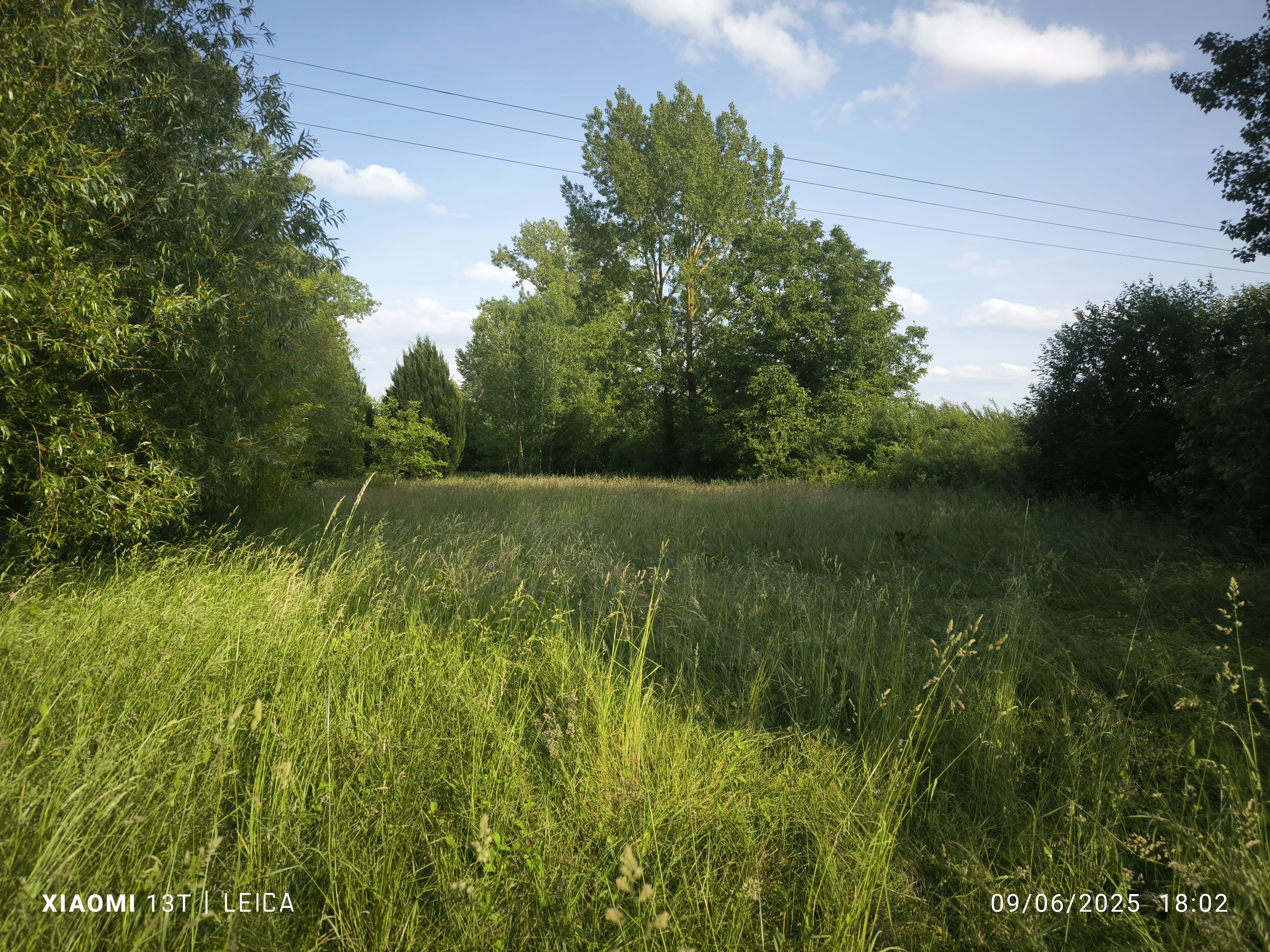 Terrain de loisirs avec etang