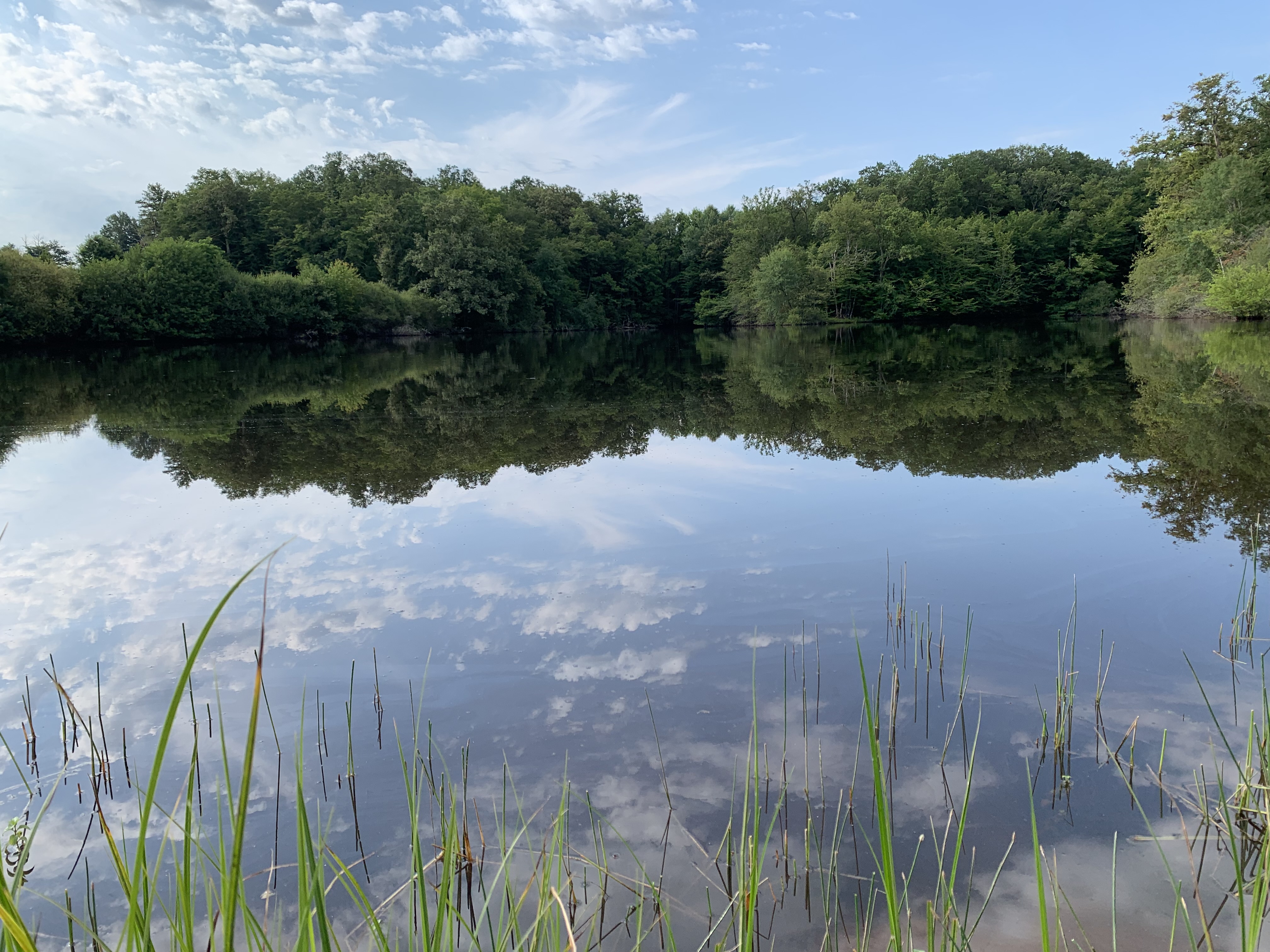 Etang privé dans l'Indre