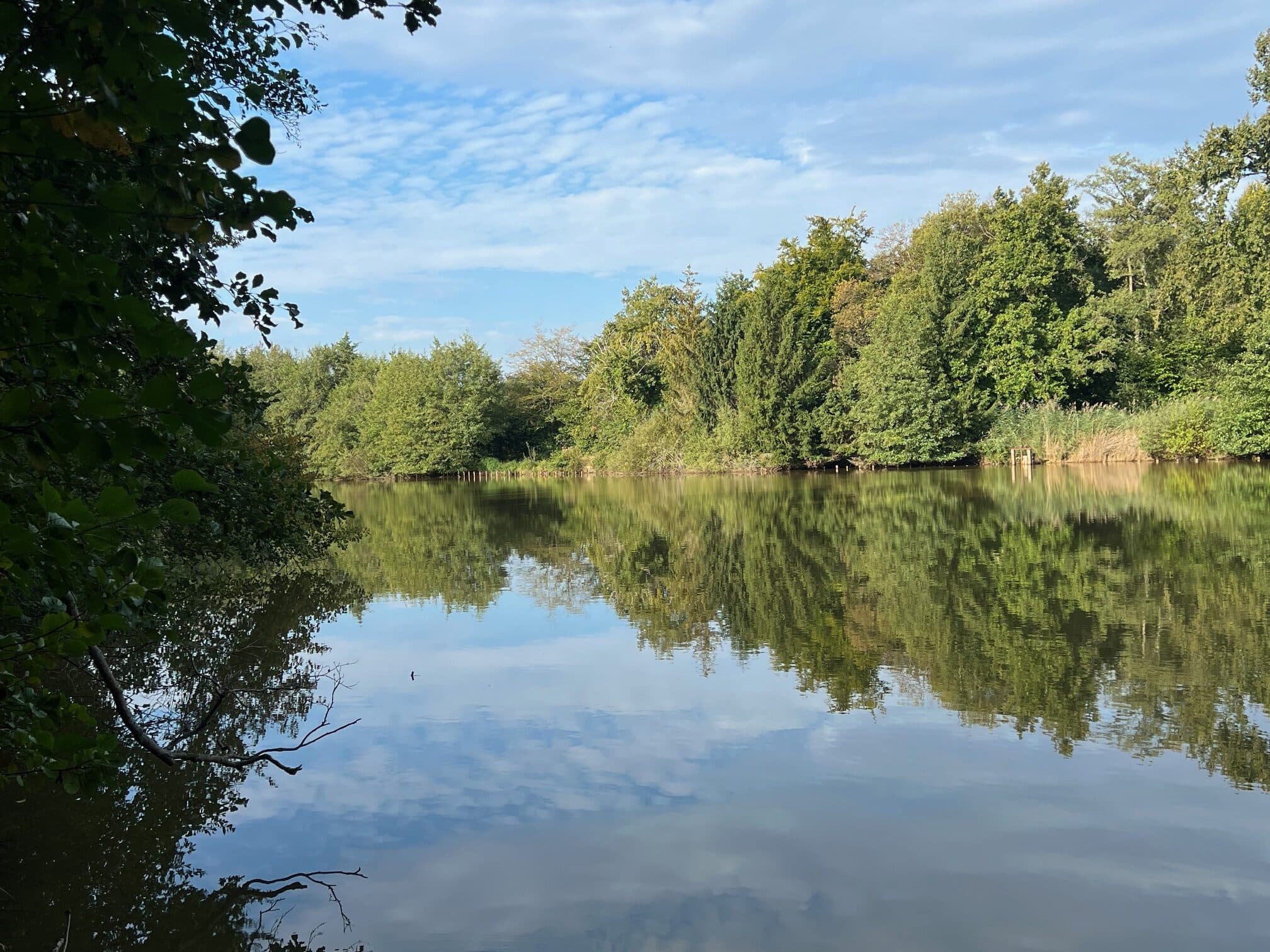 Etang à louer en Isère pour stationner votre camping-car et pêcher 