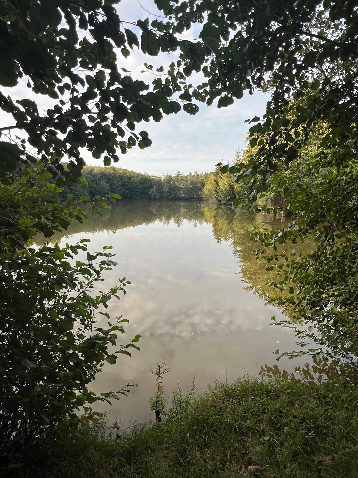 Etang à louer en Isère pour stationner votre camping-car et pêcher 