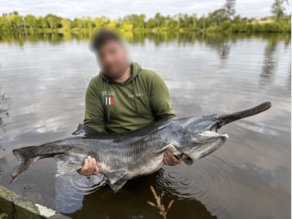 Étang de 12 ha avec lodge tout équipé, paradis pour les amateurs de poissons trophées 