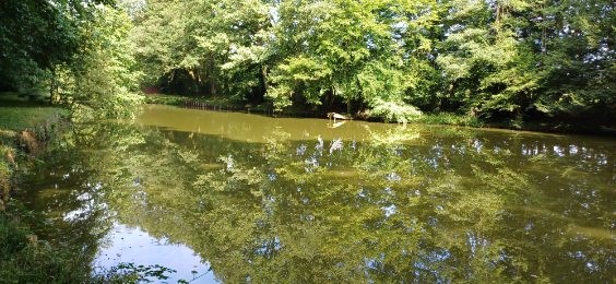 Etang familial pour un weekend dans la nature 