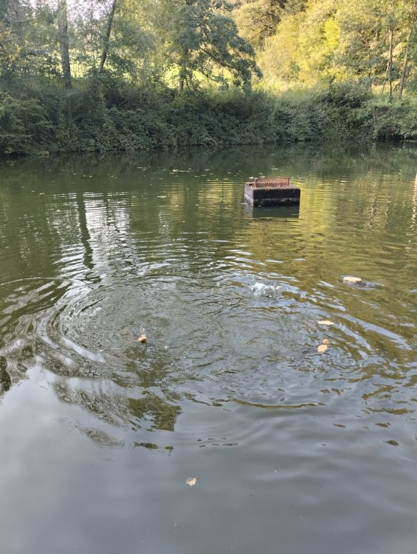 Etang à louer en Haute-Saône pour camper au bord de l’eau 