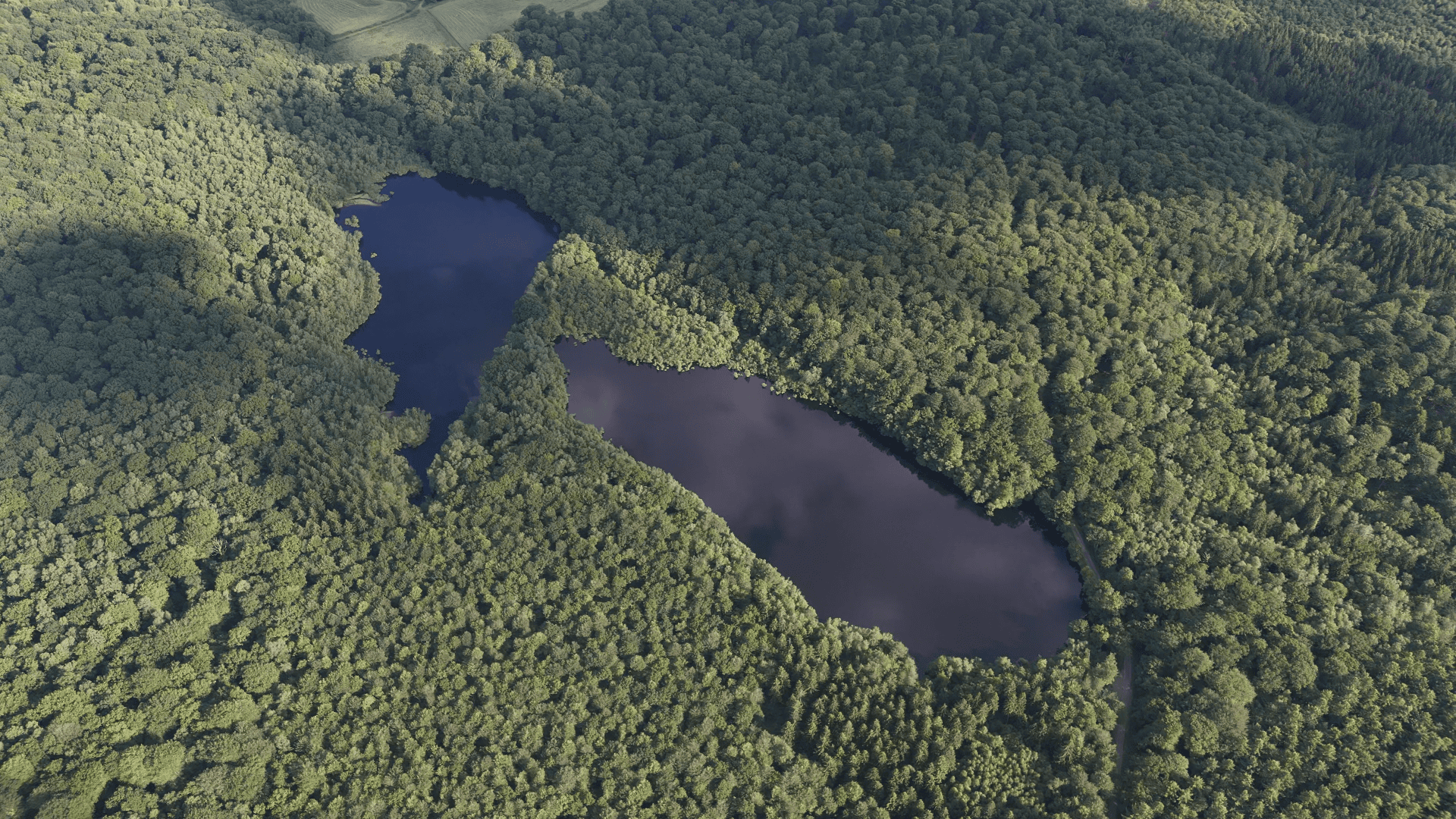 2 étangs de 12ha en déconnexion totale au coeur de la nature 