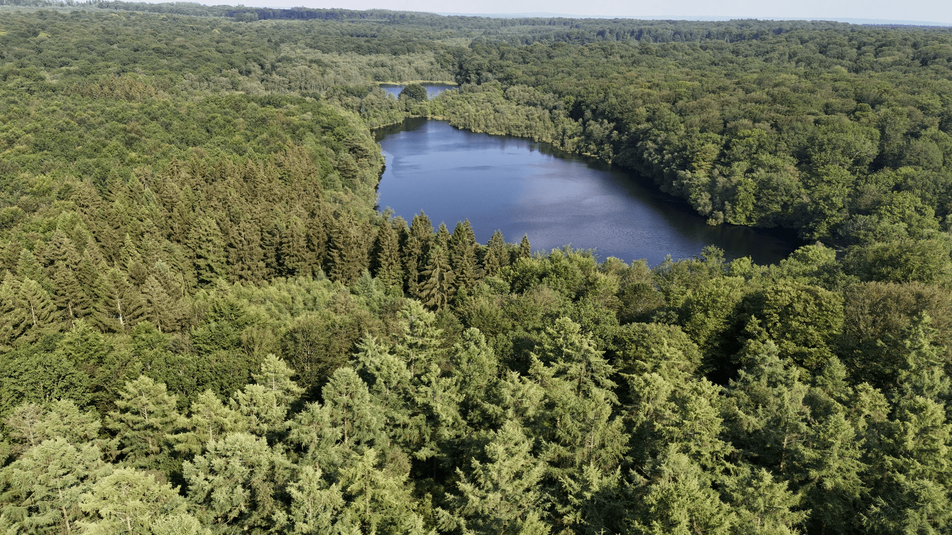 2 étangs de 12ha en déconnexion totale au coeur de la nature 