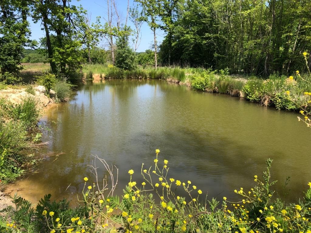 Une journée de pêche et de détente au bord de l’eau 