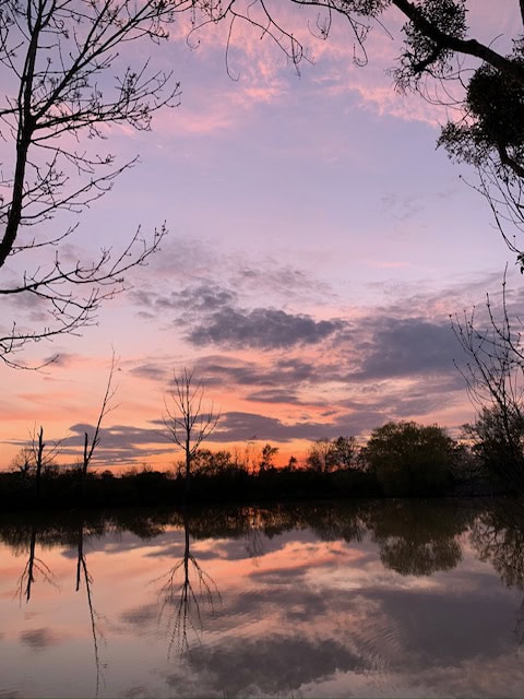Etang à louer en Indre - la nature avec 1ha d'eau 