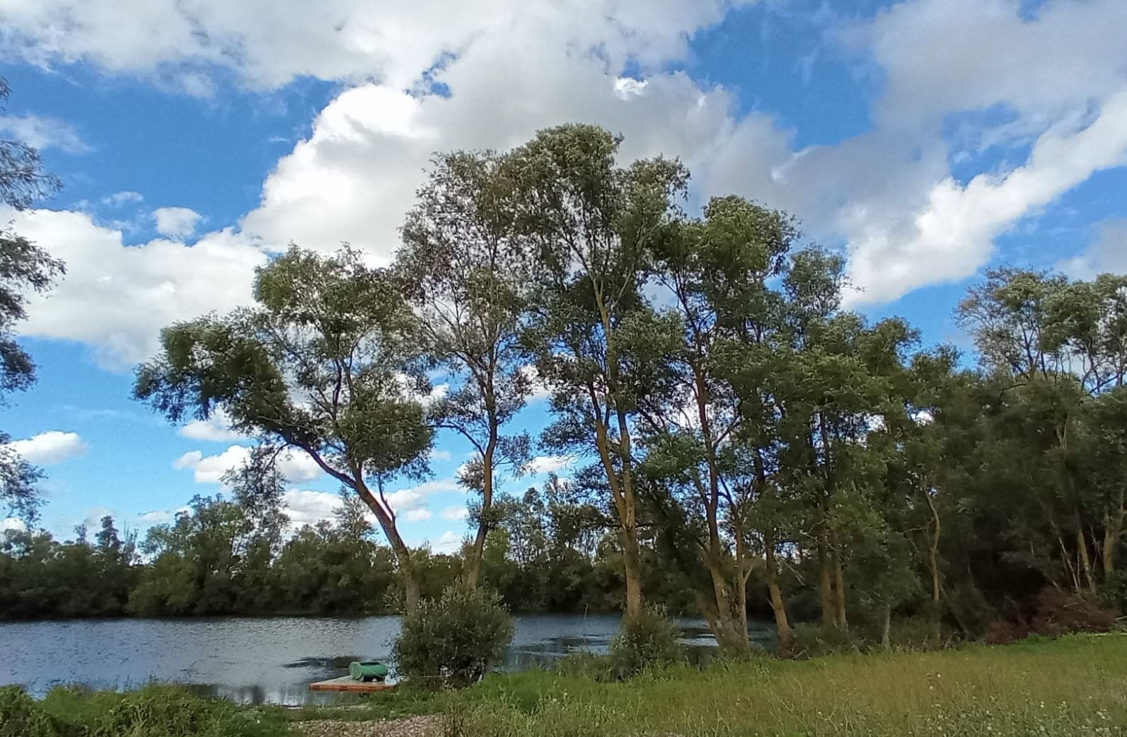 Camping et pêche : une évasion nature au bord de l'étang 
