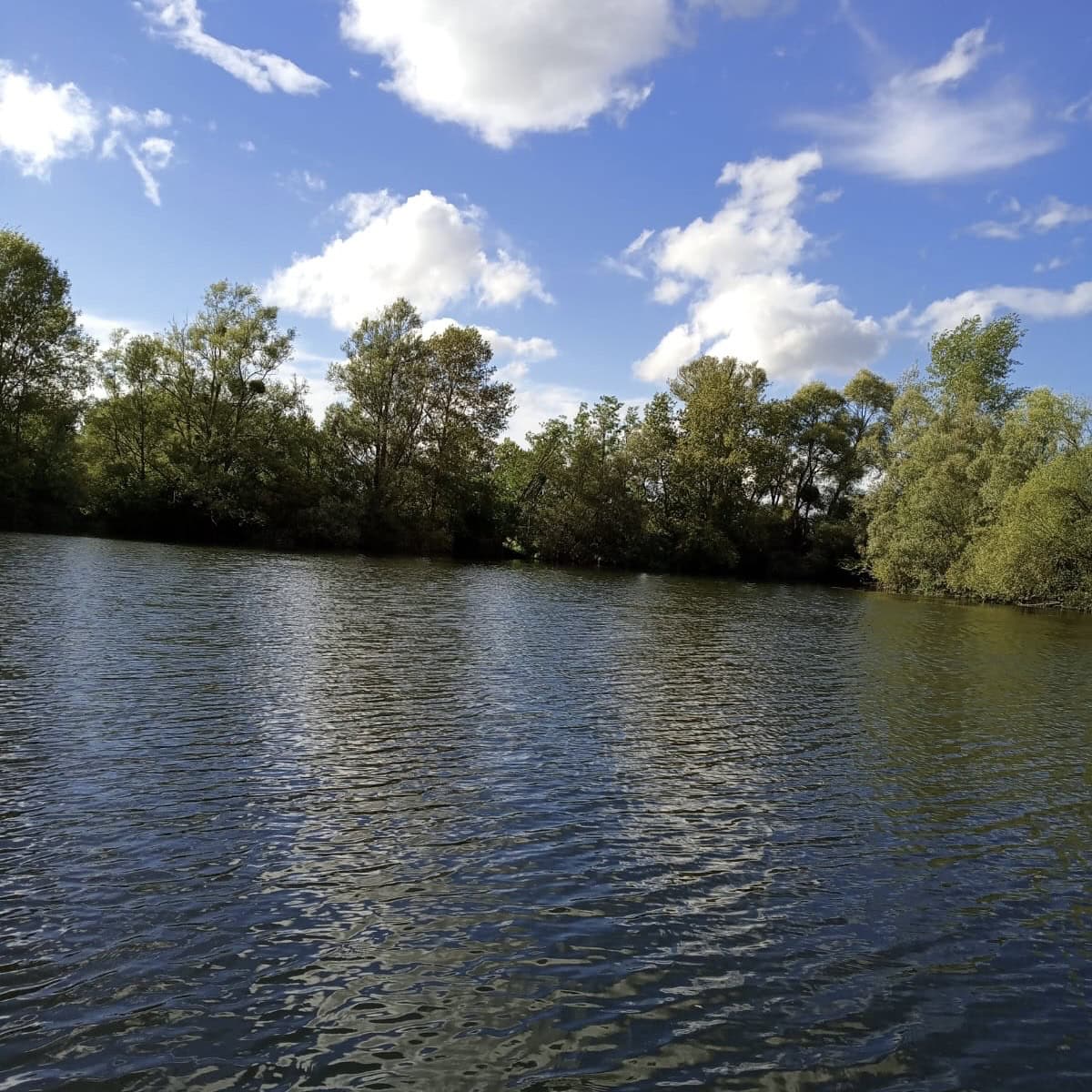 Camping et pêche : une évasion nature au bord de l'étang 