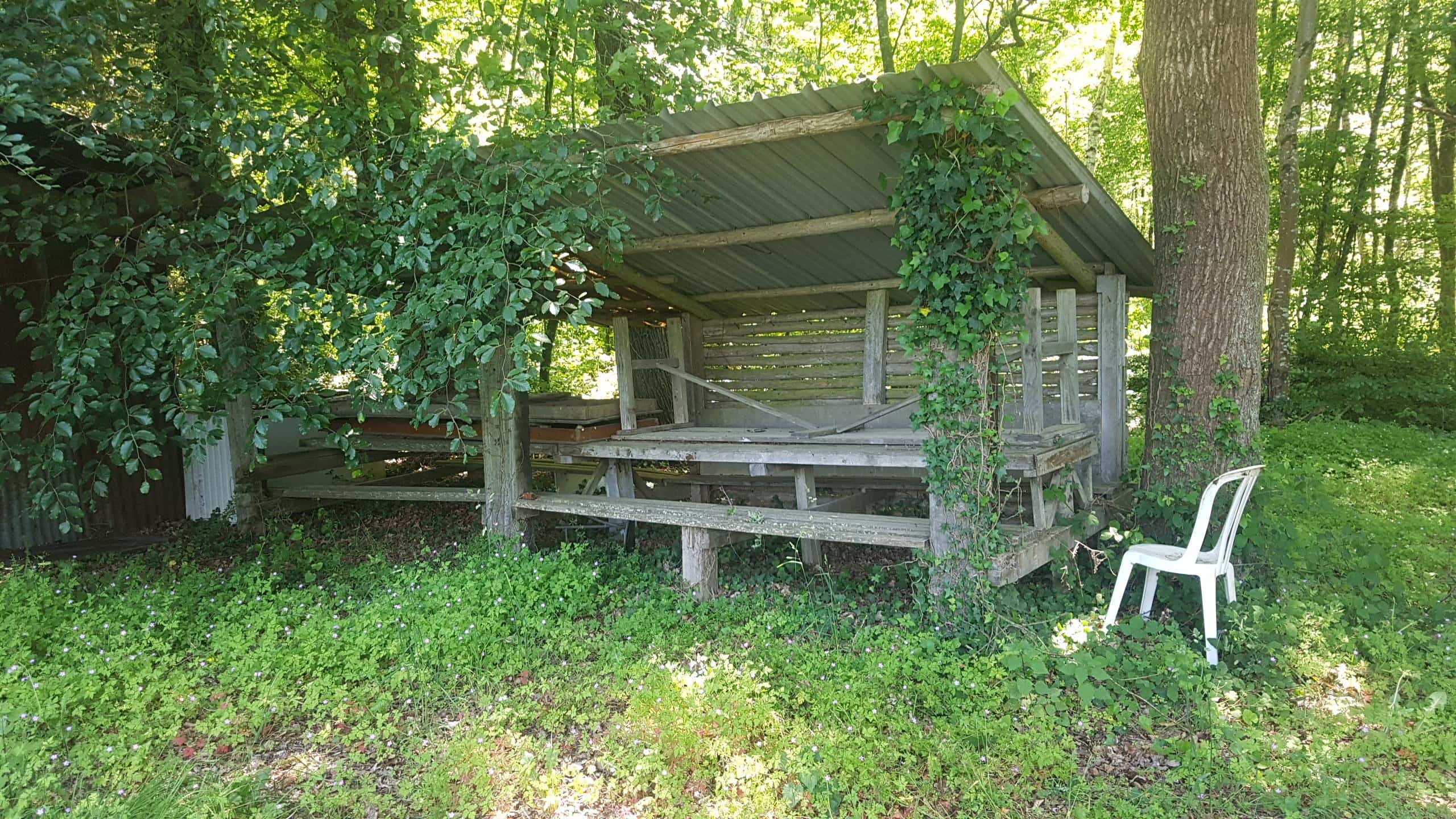 Location étang 1ha dans le Jura 