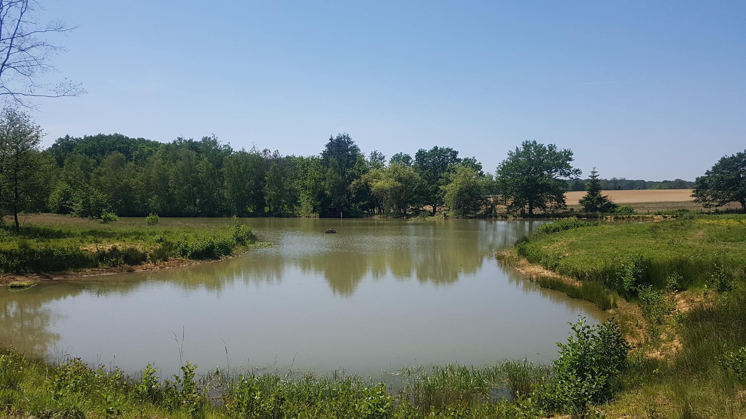 Location étang 1ha dans le Jura 