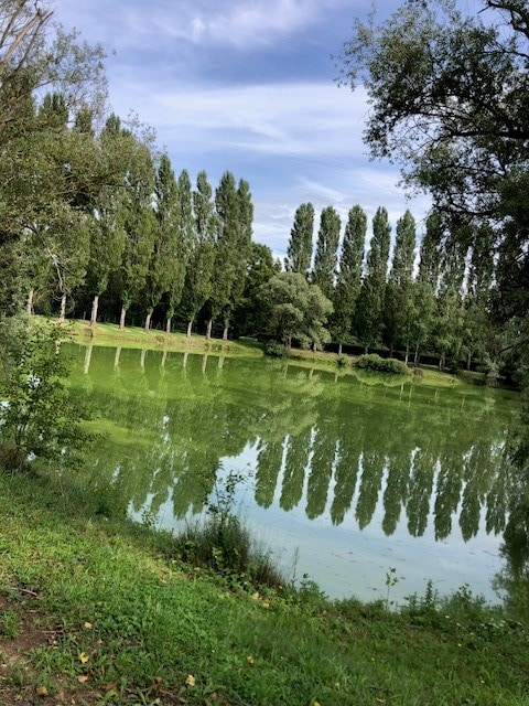 Location étang pour un weekend dans l’Aube 