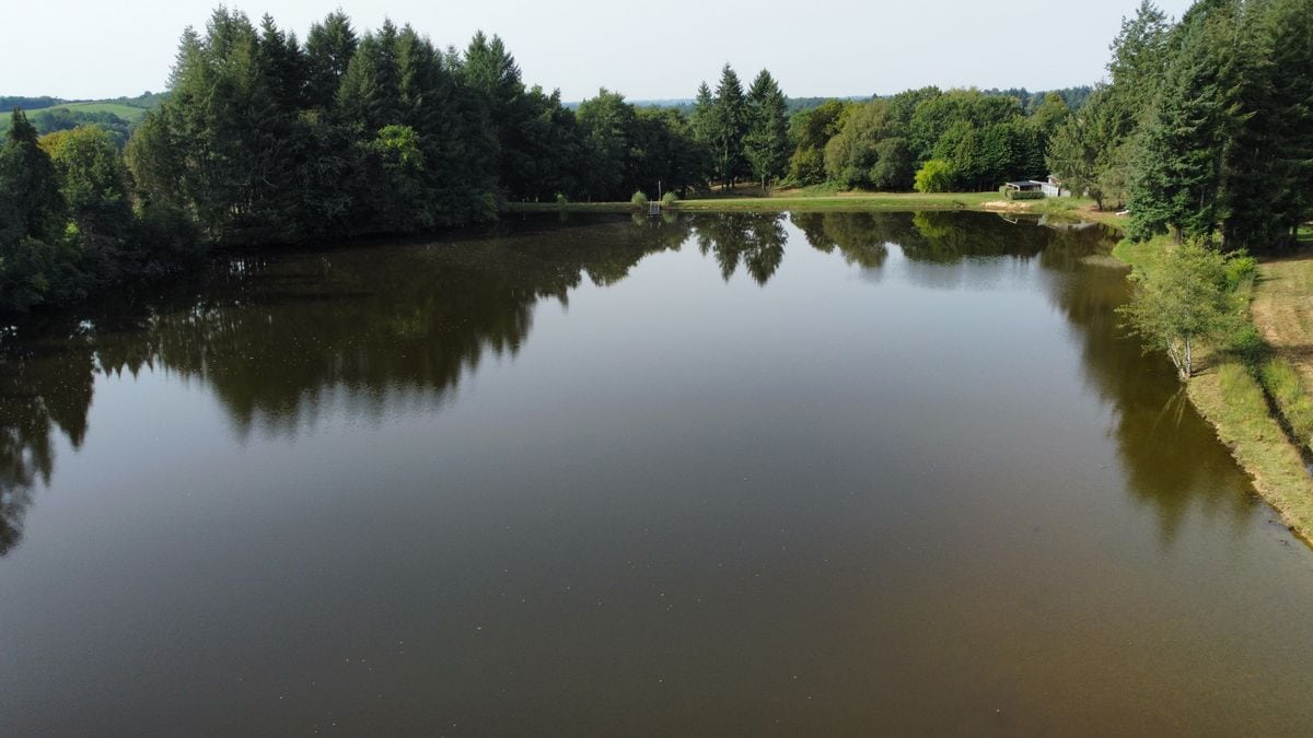 Etang à la campagne dans un cadre verdoyant 